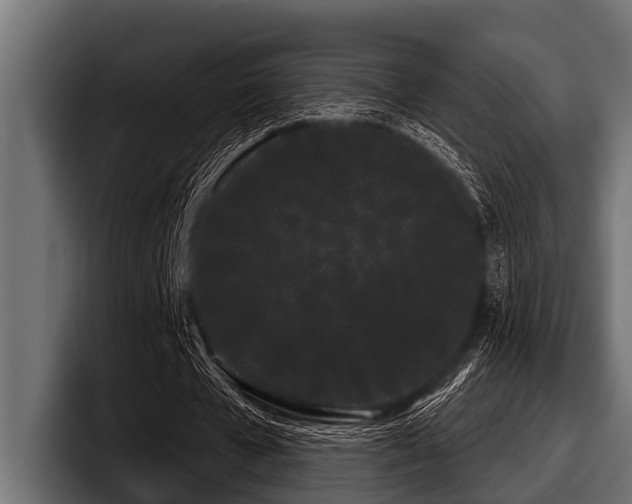 X0000097950577200803241155