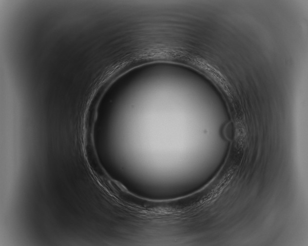 X0000097950578200803241155