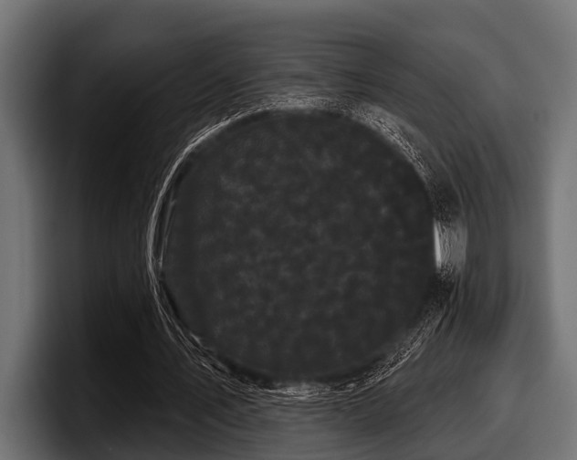 X0000097950579200803241155