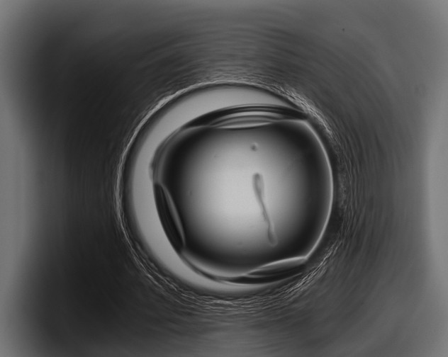 X0000097950580200803241155