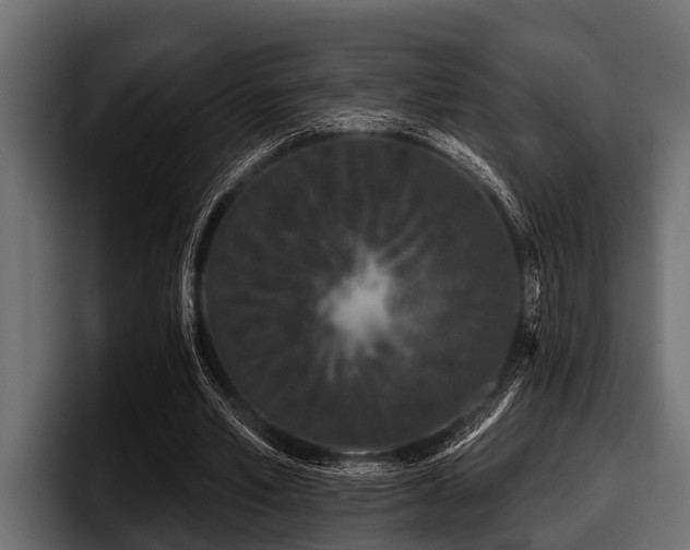 X0000097950581200803241155
