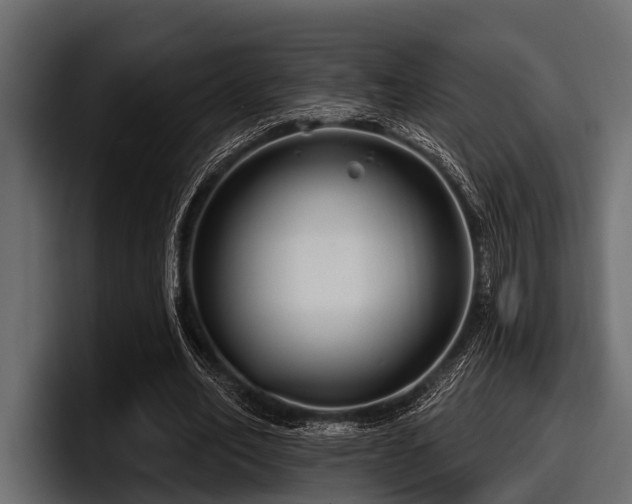X0000097950582200803241155