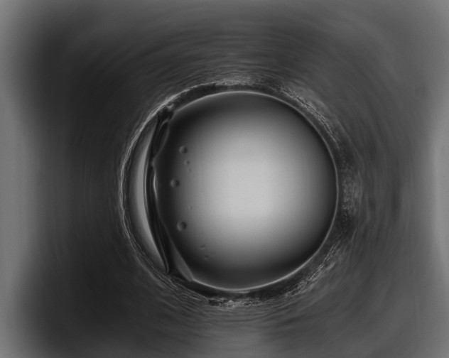 X0000097950584200803241155