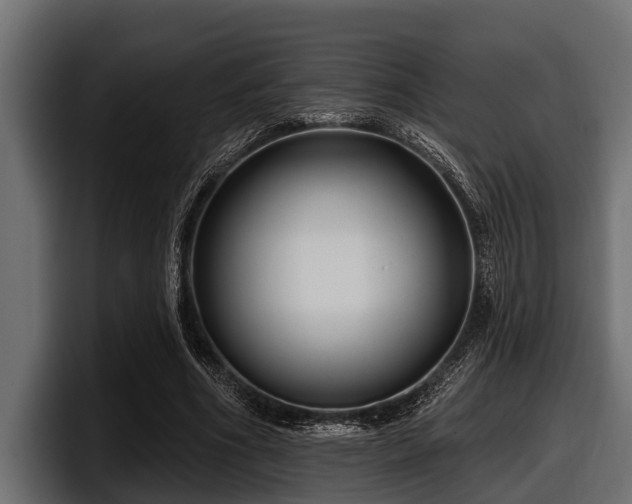 X0000097950586200803241155