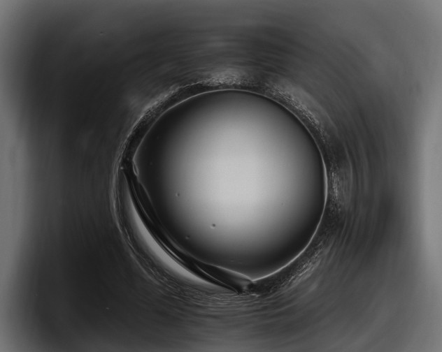 X0000097950588200803241155