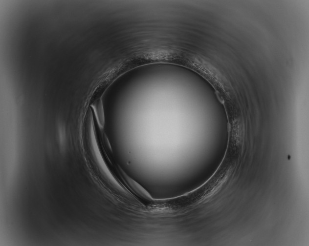 X0000097950589200803241155