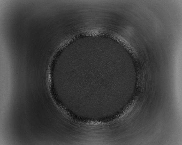 X0000097950590200803241155
