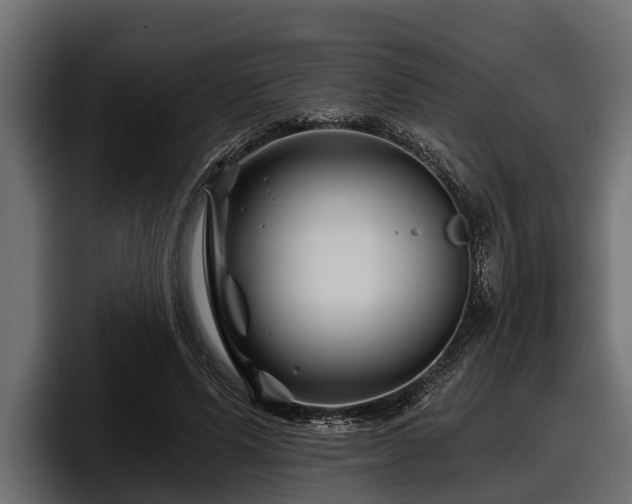 X0000097950591200803241155