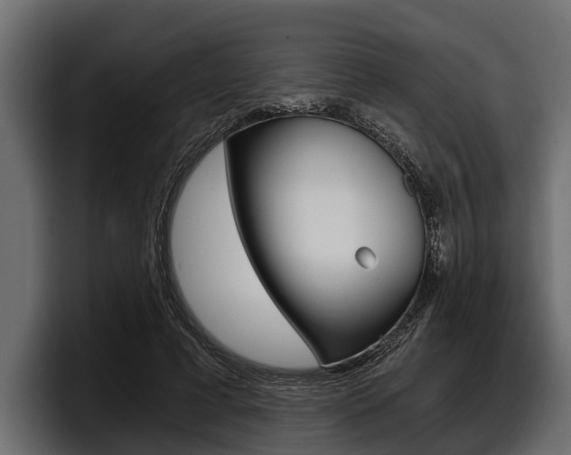X0000097950593200803241155