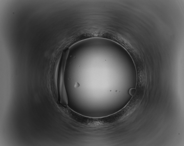 X0000097950594200803241155