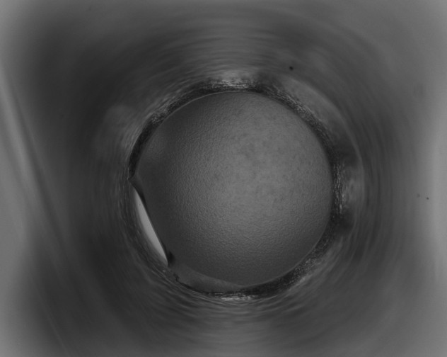 X0000097950595200803241155