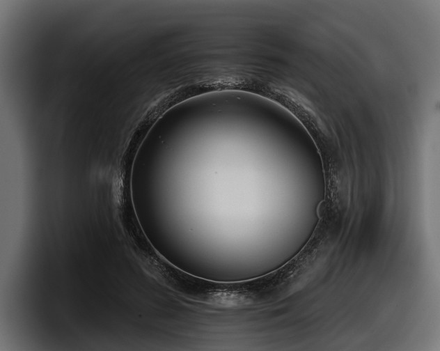 X0000097950596200803241155