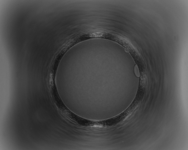 X0000097950598200803241155
