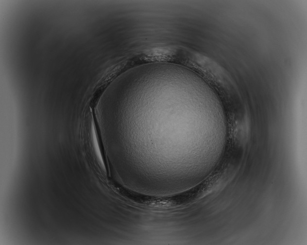 X0000097950599200803241155