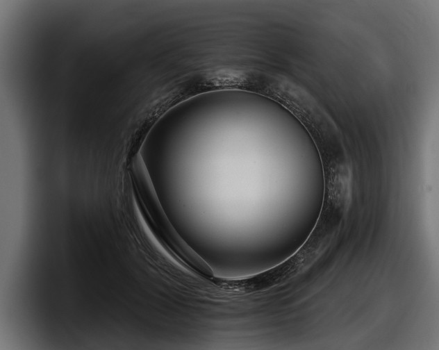 X0000097950604200803241155