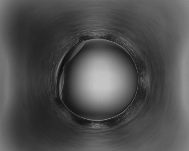 X0000097950605200803241155