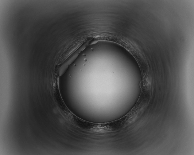 X0000097950607200803241155