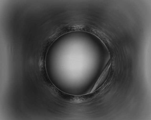 X0000097950608200803241155