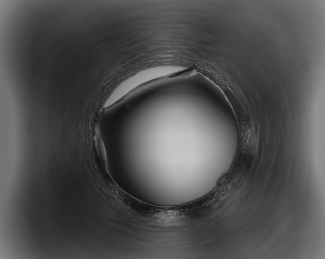 X0000097950609200803241155