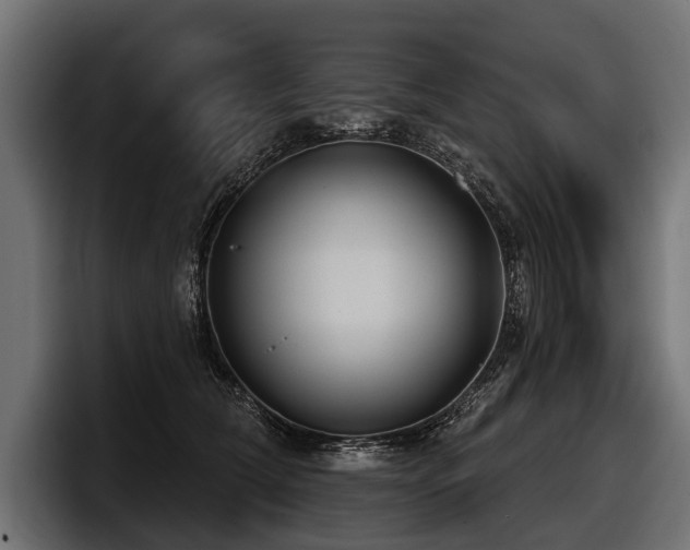 X0000097950612200803241155