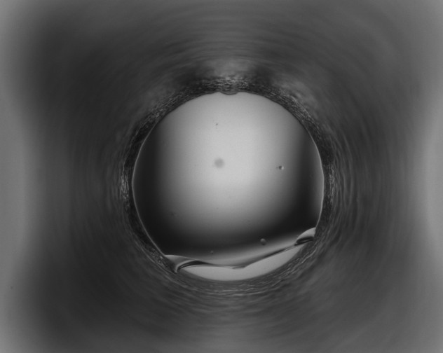 X0000097950613200803241155