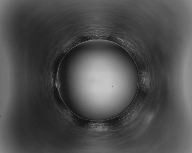 X0000097950615200803241155