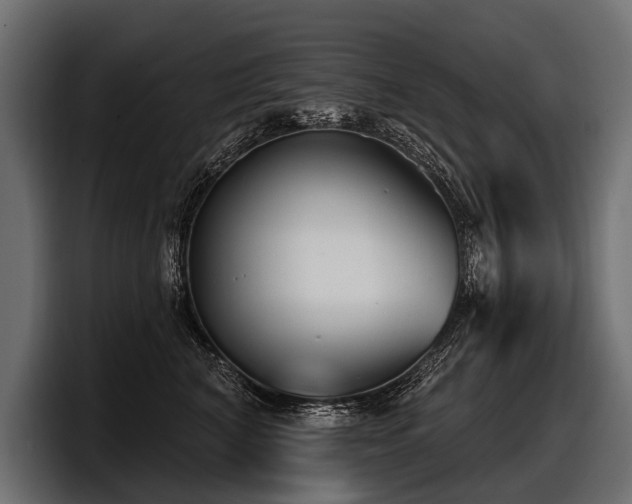 X0000097950616200803241155