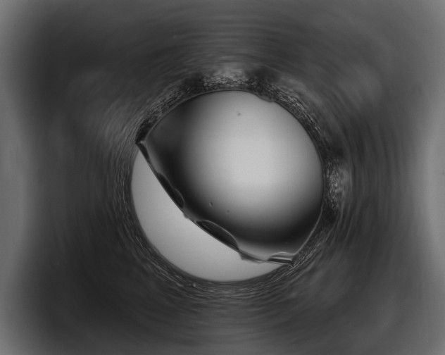 X0000097950617200803241155