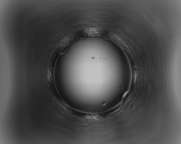 X0000097950618200803241155