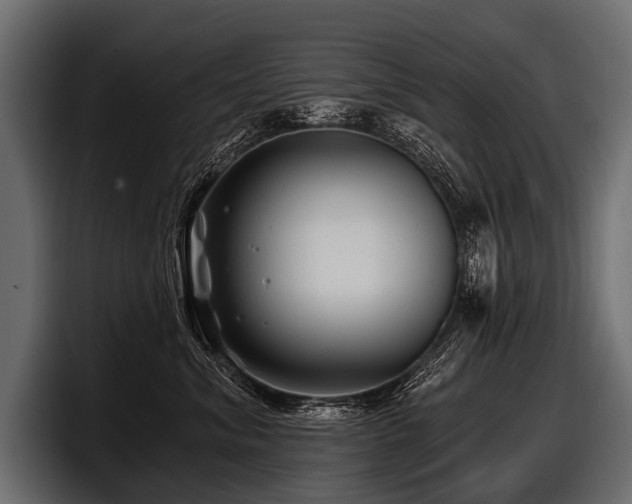 X0000097950620200803241155