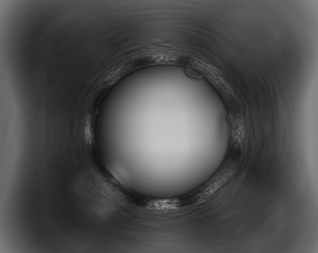 X0000097950622200803241155