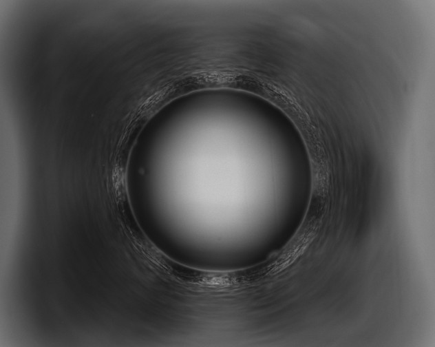 X0000097950624200803241155