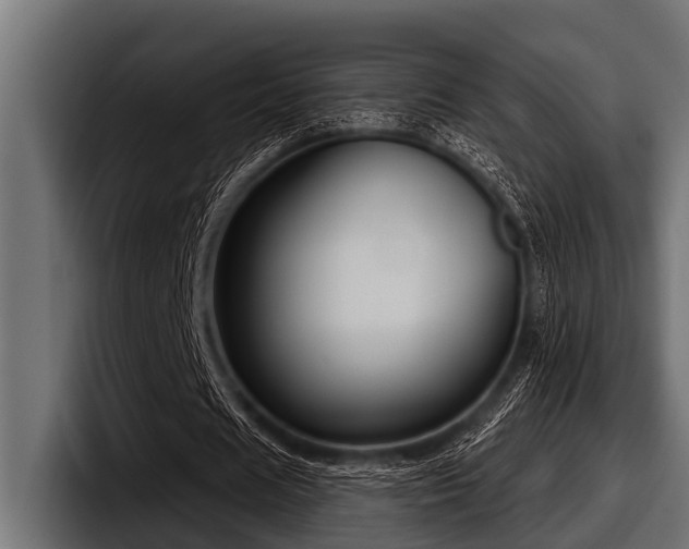 X0000097950625200803241154