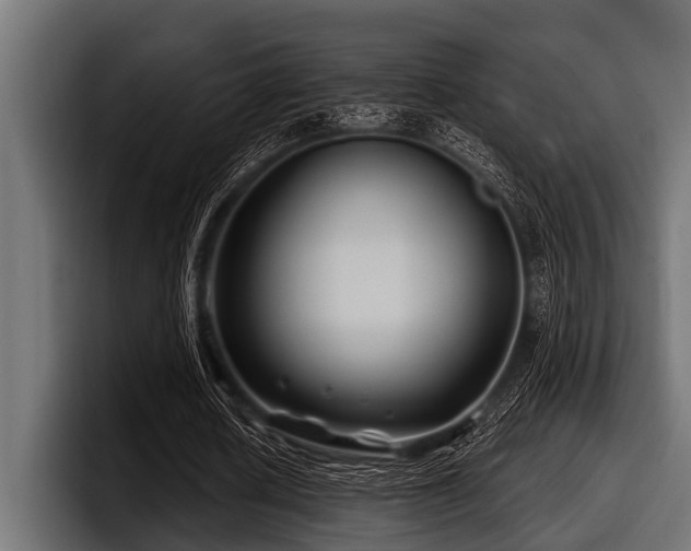 X0000097950626200803241154