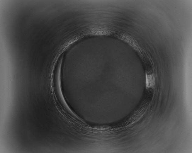 X0000097950627200803241154