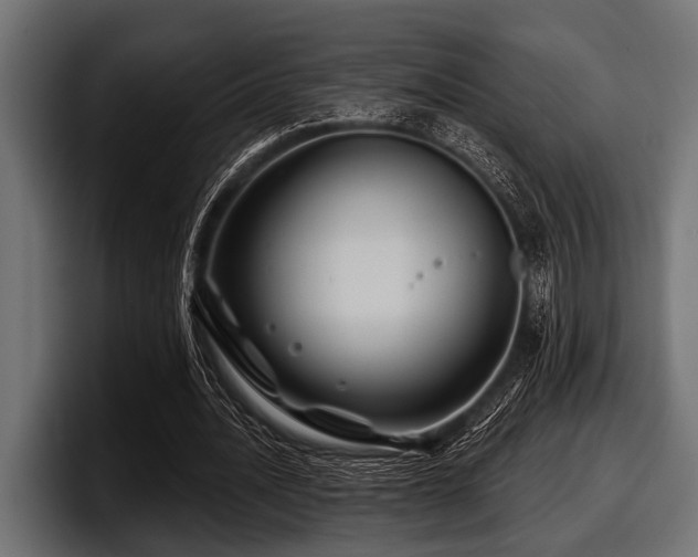 X0000097950628200803241154