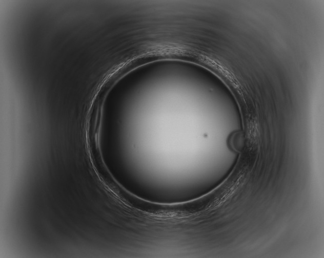 X0000097950629200803241154