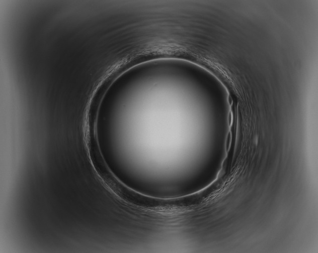X0000097950630200803241154