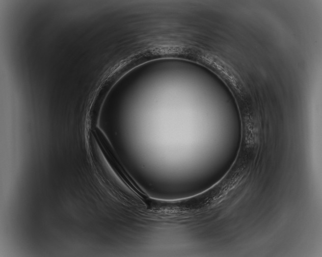 X0000097950631200803241154