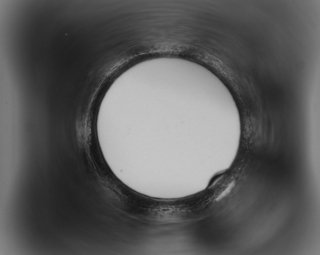 X0000097950632200803241154