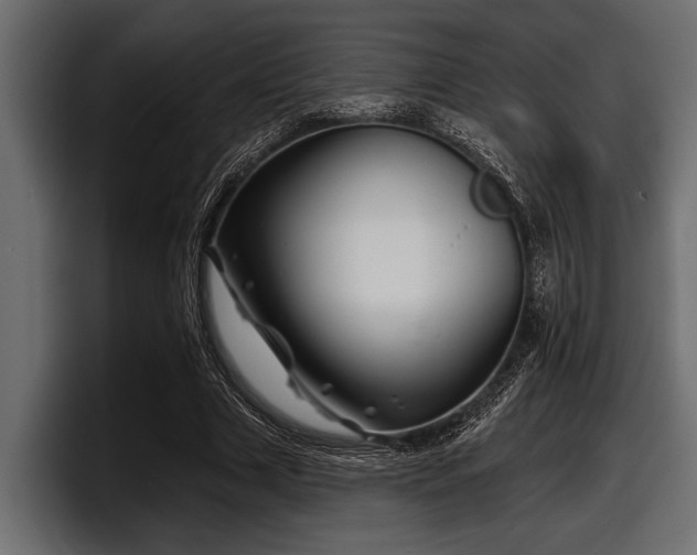 X0000097950633200803241154