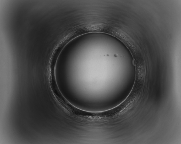 X0000097950634200803241154