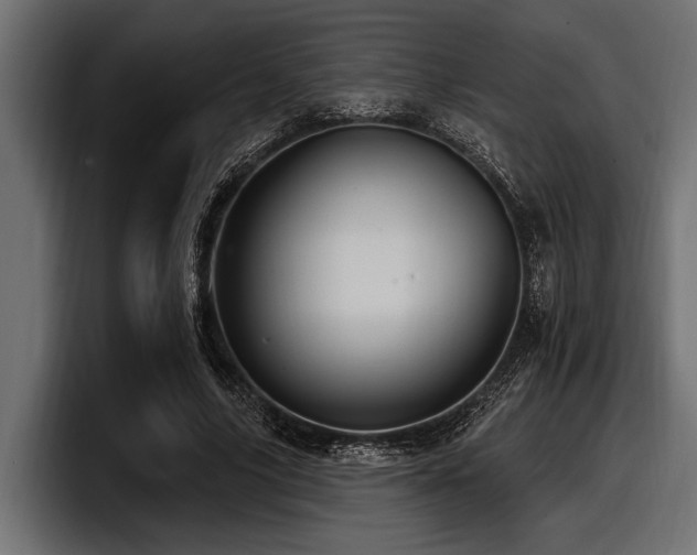 X0000097950635200803241154