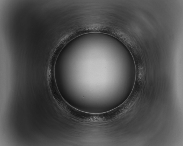X0000097950636200803241154