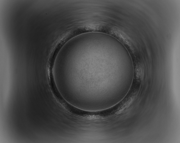X0000097950637200803241154