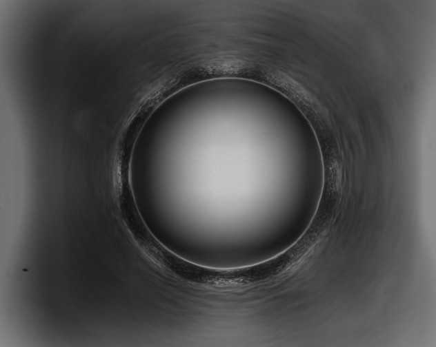 X0000097950638200803241154