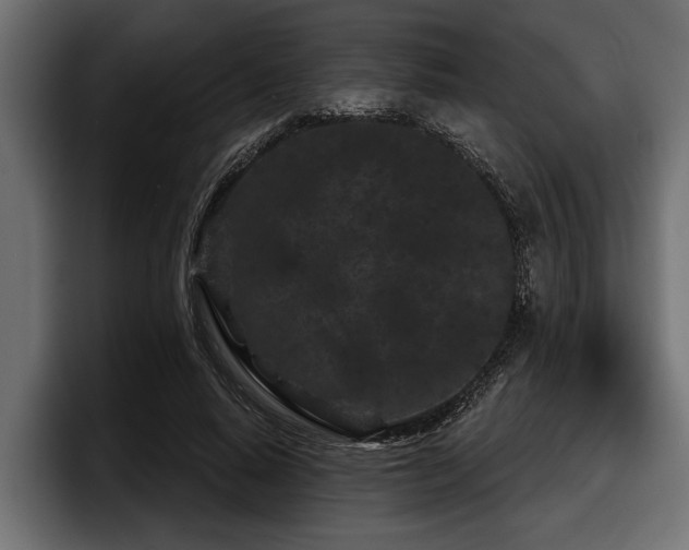 X0000097950640200803241154