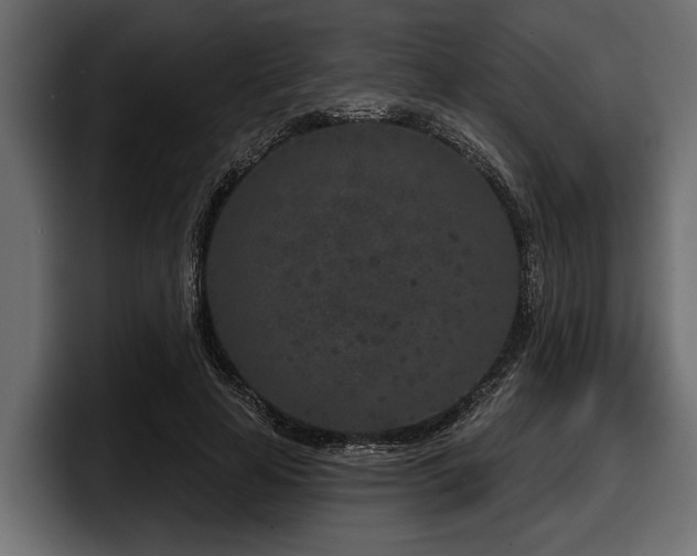 X0000097950641200803241154