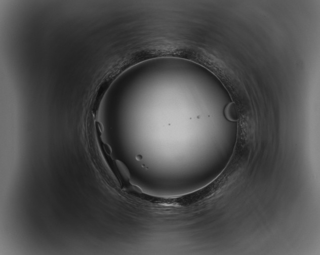 X0000097950642200803241154