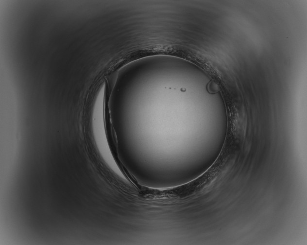 X0000097950643200803241154